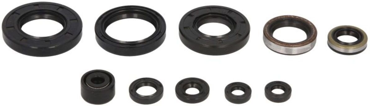 Motorsimmerringsatz WINDEROSA W822257