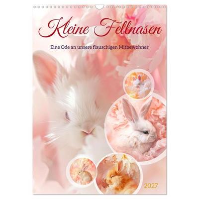 Kleine Fellnasen (Wandkalender 2027 DIN A3 hoch), CALVENDO Monatskalender