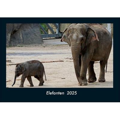Elefanten 2025 Fotokalender DIN A4