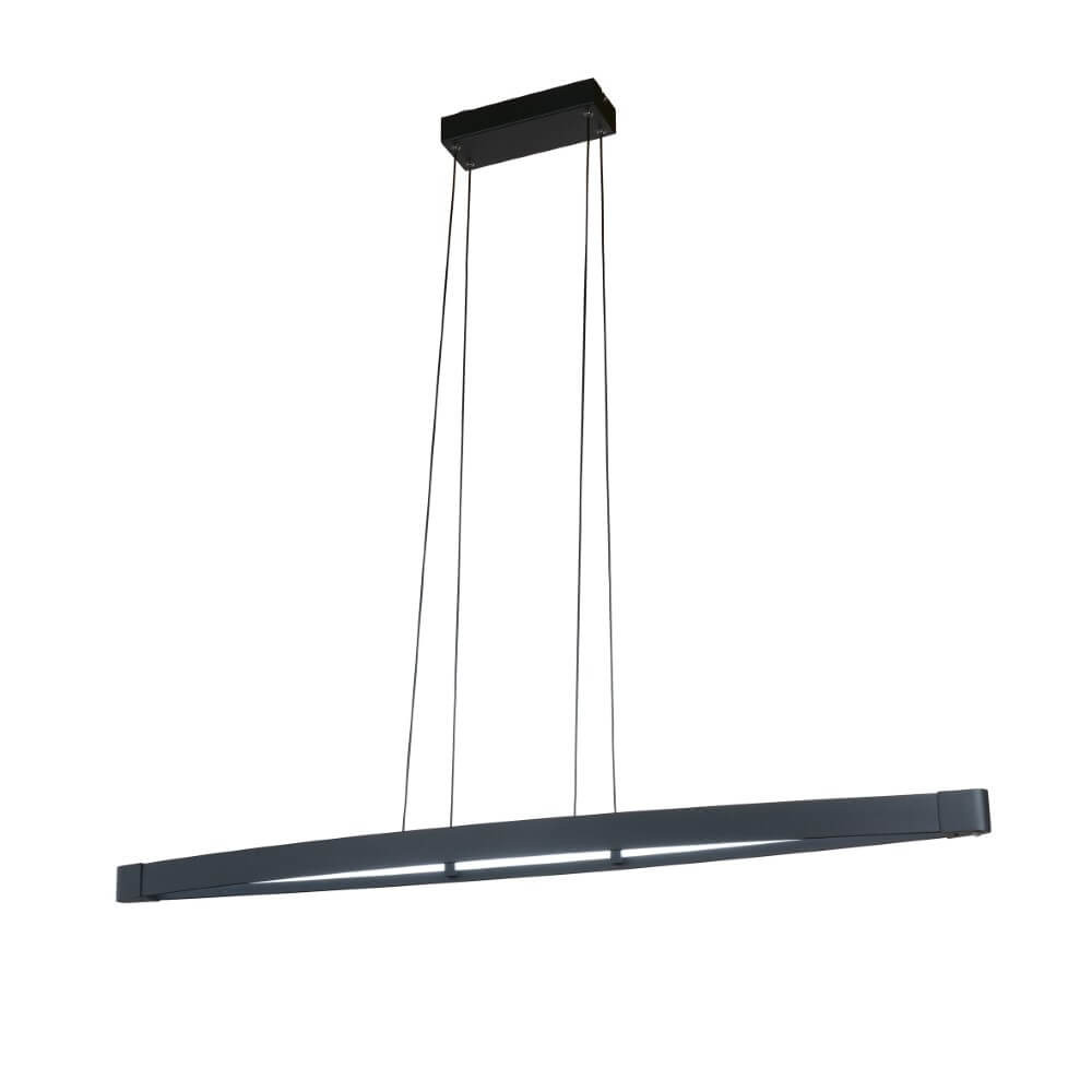 Fischer & Honsel Design hanglamp Fenga zwart metalen hanglamp