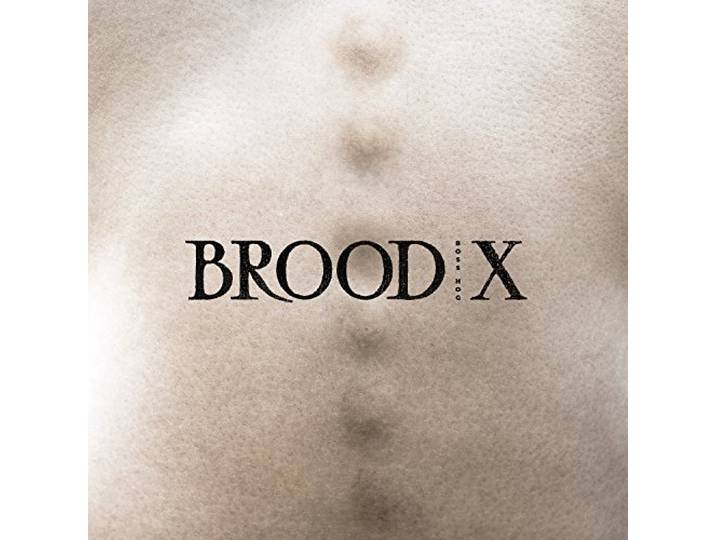 Brood X