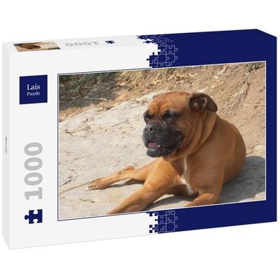 Lais Puzzle Boxer 1000 Teile