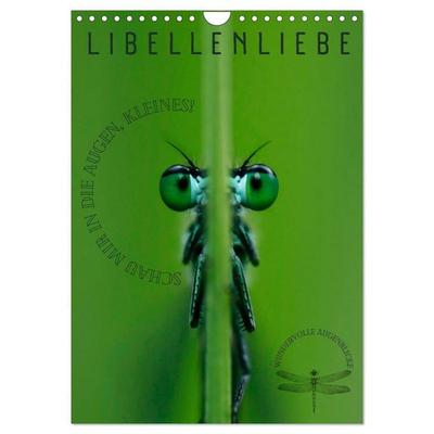 LibellenLiebe - Schau mir in die Augen, Kleines! (Wandkalender 2027 DIN A4 hoch), CALVENDO Monatskalender