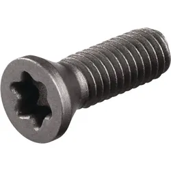 Tecwerk Spannschraube US3510 Gr.T15