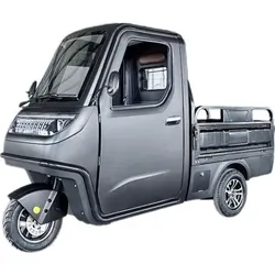 Econ-Way E-Pritschenwagen SLSM20-PU