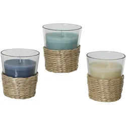 Kerze CITRONELLA (DH 7,50x7,50 cm) - DH 7,50x7,50 cm