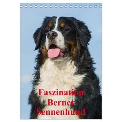Faszination Berner Sennenhund (Tischkalender 2026 DIN A5 hoch), CALVENDO Monatskalender