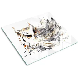 GLASPLATTE 60x52 cm Eule