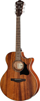 Ibanez AE140-OPN offenporig Natur