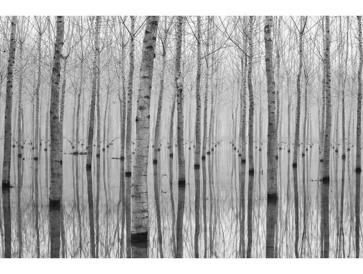 Fototapete PAPERMOON Photo-Art AGLIONI SIMONE, NOVEMBER 2014 , bunt, B:5m L:2,8m, Vlies, Tapeten, Fototapete
