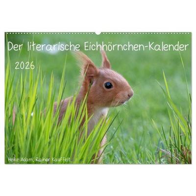 Der literarische Eichhörnchen-Kalender (Wandkalender 2026 DIN A2 quer), CALVENDO Monatskalender
