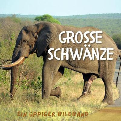 Grosse Schwänze, Taschenbuch von Tim Fröhlich, 27amigos, 978-3-7505-0951-1