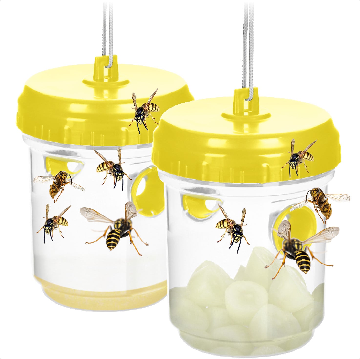 COM-Four 2x Insectenvallen - Diervriendelijke leefvallen om op te hangen