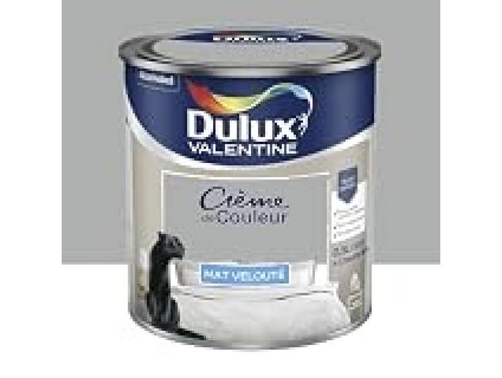 Peinture Crème De Couleur Gris Alpaga