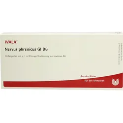 Nervus Phrenicus Gl D 6 10 ML