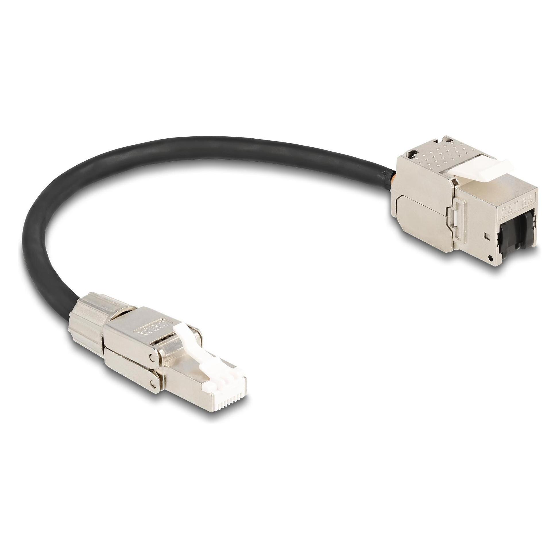Delock Kabel RJ45 Stecker feldkonfektionierbar zu (S/FTP, CAT6a, 0.25 m) (87203)