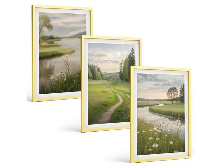 BILDER SET 3er Set - 40x60 cm Goldrahmen - Sommerliche Flusswiesen voller Blumen