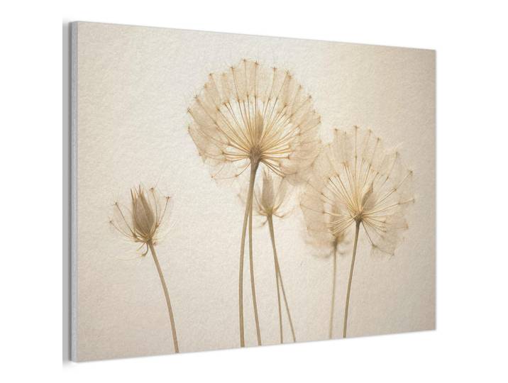 MuchoWow Akustikbild - Sonnenlicht - Löwenzahn - Botanisch - Blumen - 90x60, Creme, Kunststoff, Rechteckig, 90x60x0.9 cm, Wandverkleidung, Akustikpaneele