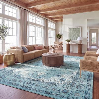 SAFAVIEH Evoke Annabel Vintage Shabby Chic Oriental Rug