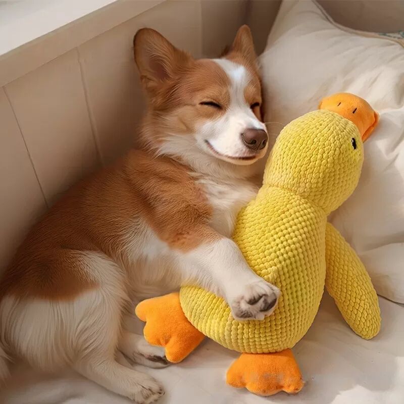 INF Plüsch-Entenspielzeug - Quietschendes, weiches Kauspielzeug für kleine Hunde und Welpen S