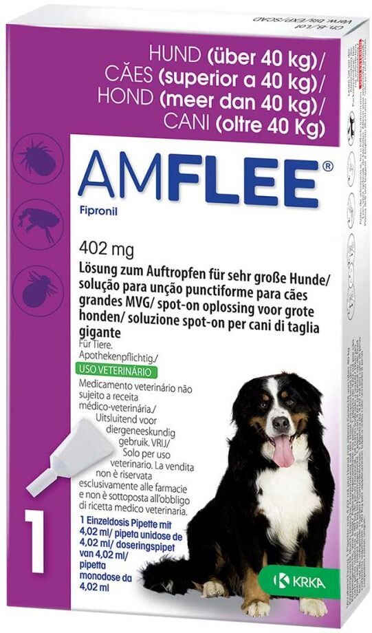 Amflee 402 mg Lösung zur, zum Auftropfen für sehr große Hunde