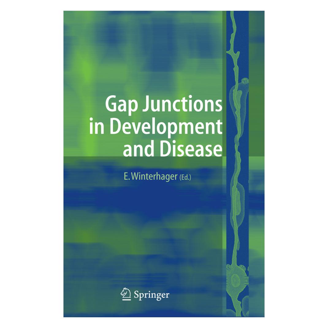 Springer Gap Junctions in Development and Disease (Englisch, Softcover, Elke Winterhager) (55373902)