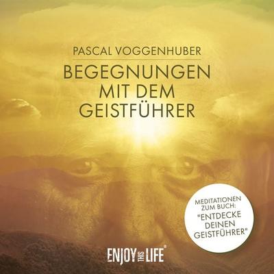 Begegnungen mit dem Geistführer - Pascal Voggenhuber, CD, 9783961110155