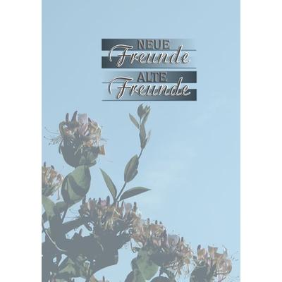 Neue Freunde - Alte Freunde, Taschenbuch von Stefanie Gellweiler, BoD – Books on Demand, 978-3-7322-5510-8