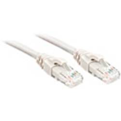 LINDY 48090 RJ45 Patchkabel CAT 6 U/UTP 0.30 m Weiß Ungeschirmt 1 St.
