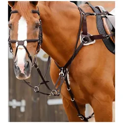 Premier Equine, Zaumzeug