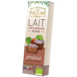Haselnuss Praline Vollmich Schokolade 45g