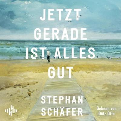 Jetzt gerade ist alles gut - Stephan Schäfer, Audio, 9783844943108