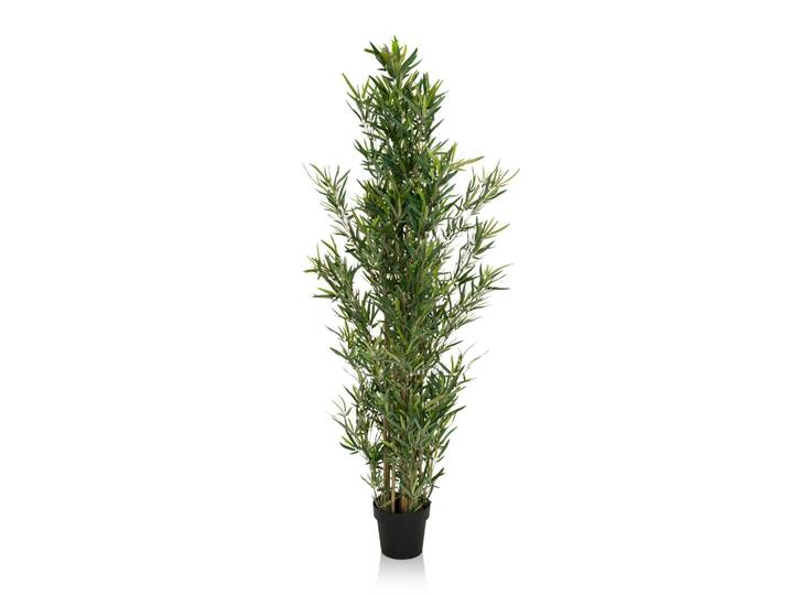 Plante Artificielle Bambus Plastique Vert Hjh Office