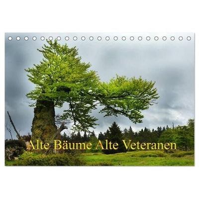 Alte Bäume Alte Veteranen (Tischkalender 2027 DIN A5 quer), CALVENDO Monatskalender
