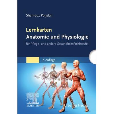 Lernkarten Anatomie und Physiologie, Sonstige von Shahrouz Porjalali, Urban & Fischer in Elsevier, 978-3-437-25279-2