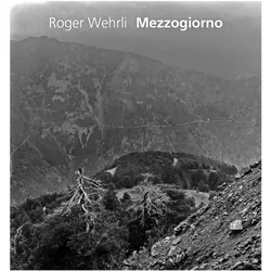 Roger Wehrli, Fachbücher von Roger Wehrli