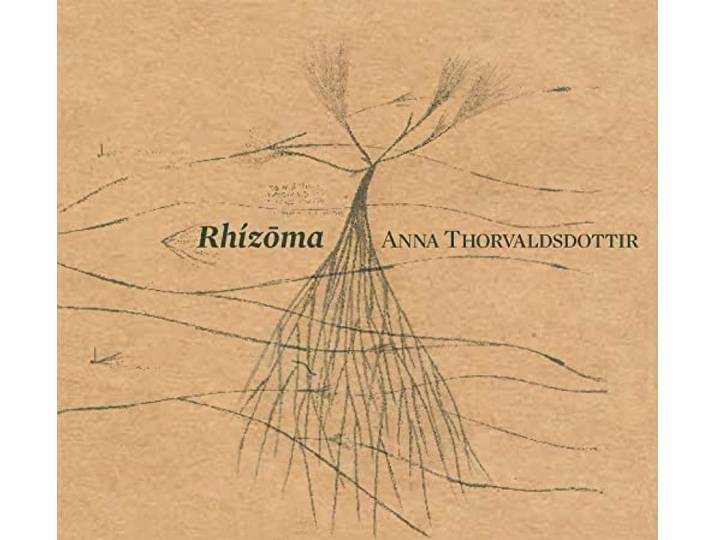 Rhizo?Ma