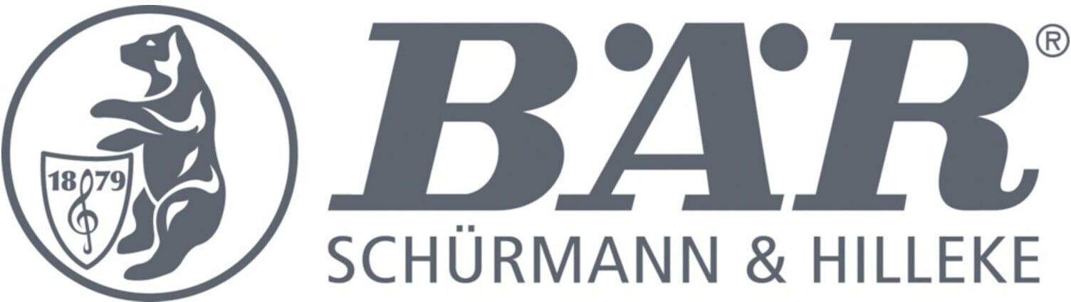 BÄR Drallhaftschraube galZn 4,2x 60 a 2,5kg (DRZ 42 6026)