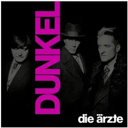 Hot Action Records, Schallplatten, Dunkel (Limited Doppelvinyl Im Schuber Mit Girlande) (Die rzte)