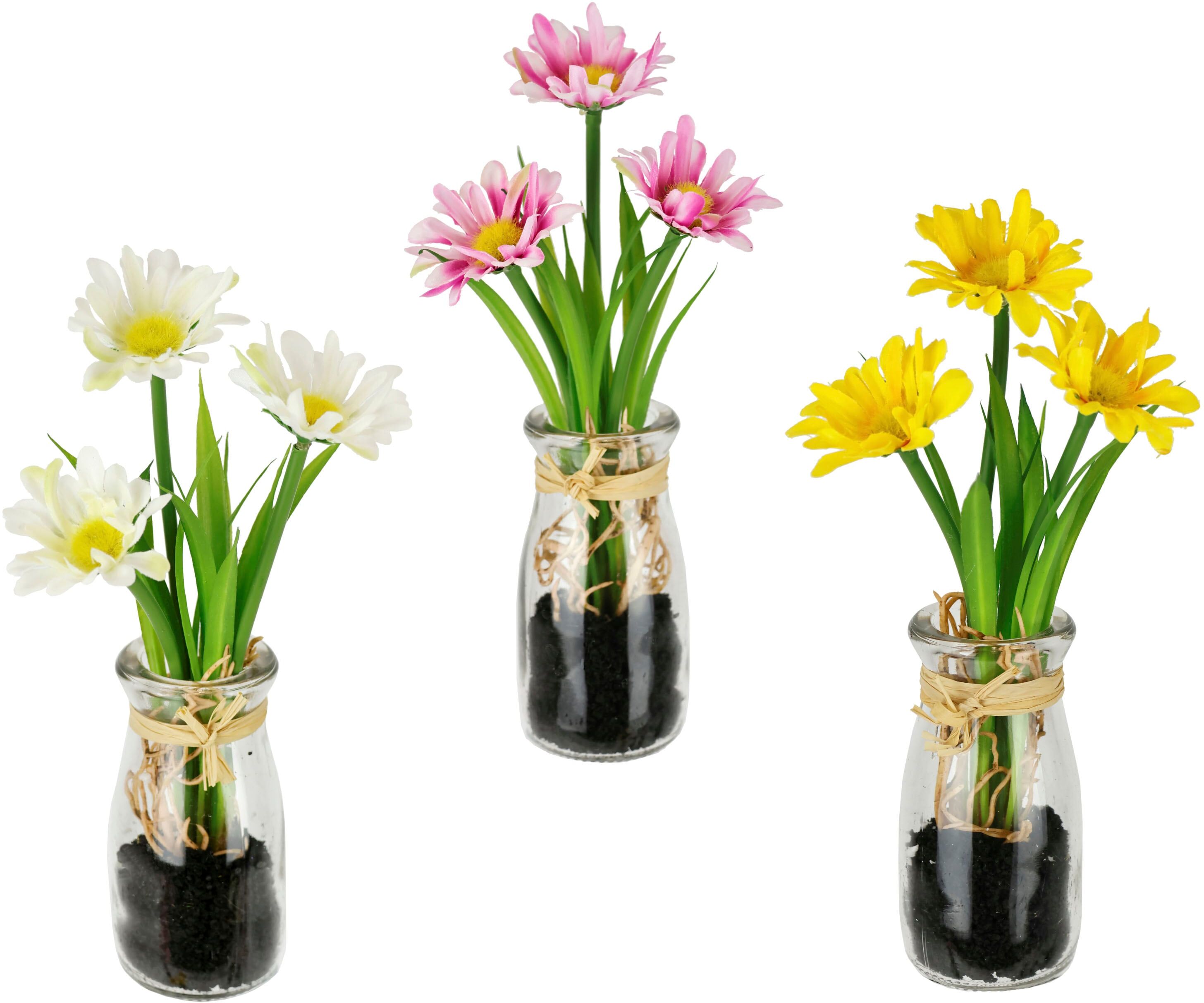 Kunstblume I.GE.A. "Margeriten", weiß, B:9cm H:21cm L:9cm, Polyester, Kunstpflanzen, Kunstblume, Künstliche Mini-Margeriten im Glas Arrangement Gänseblümchen, 3er Set