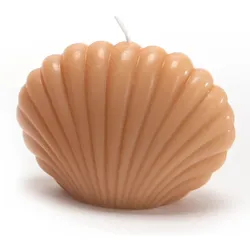 Muschelkerze nude x8 - Beige Anderes Wachs Amadeus 8.8x4.799 cm