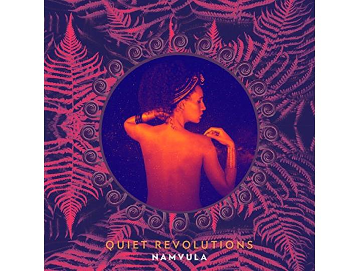 Namvula - Quiet Revolutions