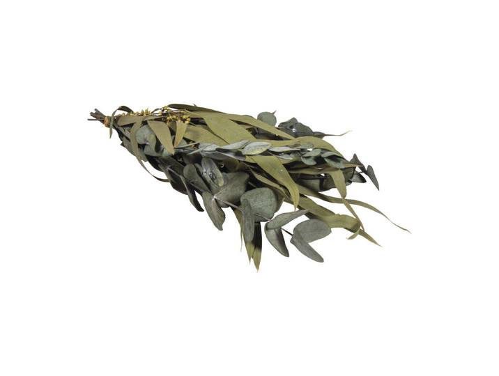 Eukalyptus Bund mit Papiermanschette, 30-35cm, sortiert