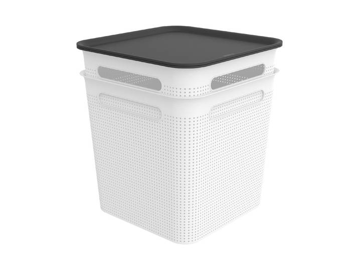 Rotho 2er-Set Box mit Deckel Brisen 18 l