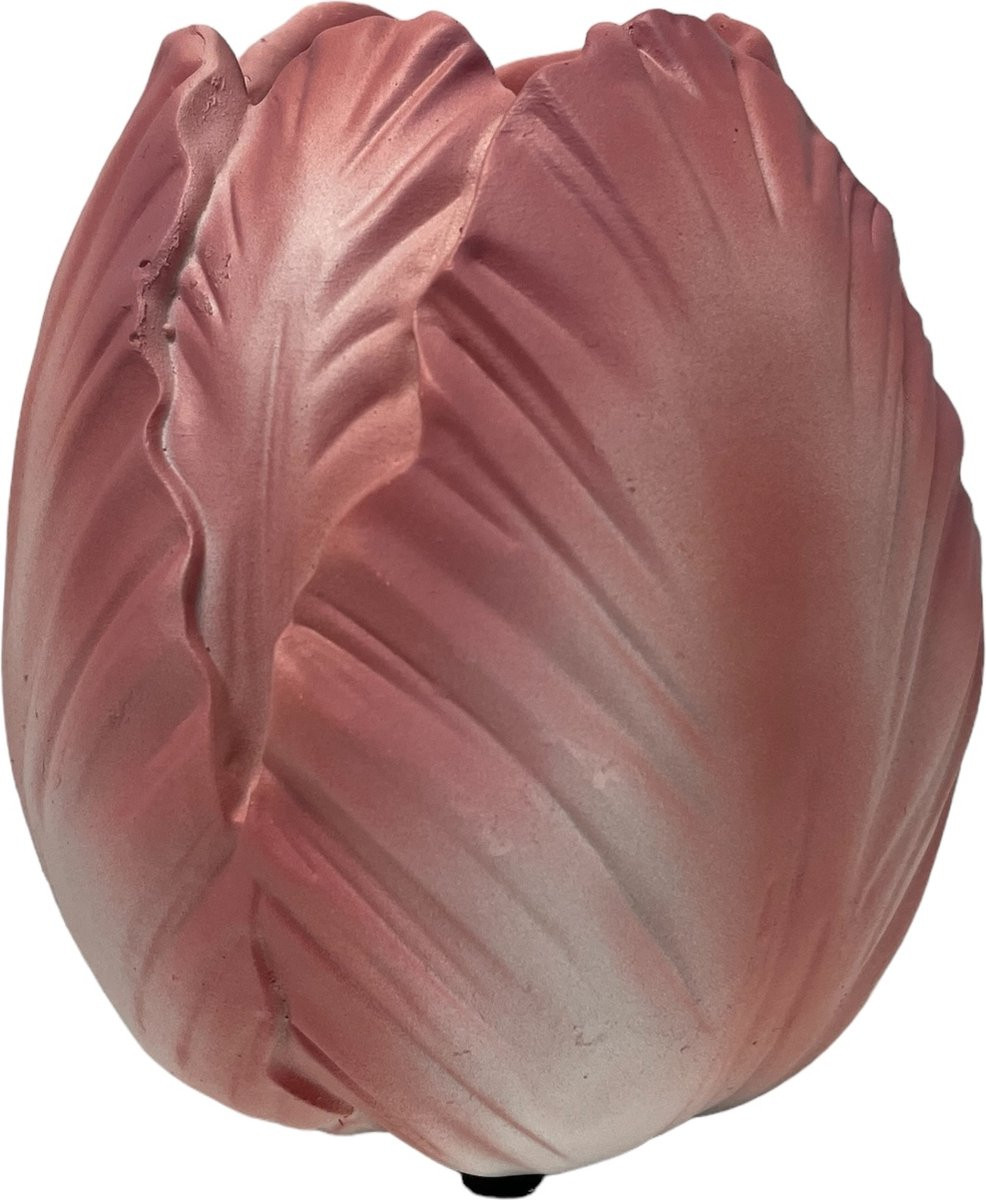 Toulon Burning Flame Red Pink vaas, tulpenvaas, B/D/H: 11 x 11 x 12 cm