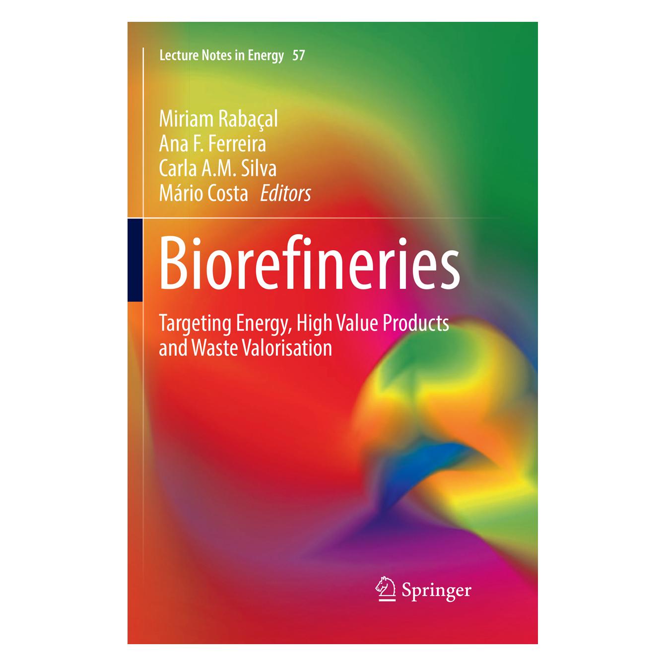 Springer Biorefineries (Englisch, Softcover, A M Silva, Ana, Ana F. Ferreira, carla, Carla A. M. Silva, F Ferreira, Mário Costa, Miriam Rabaçal) (56007284)