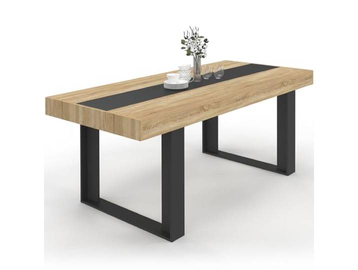 IDMarket - Rechteckiger Esstisch Phoenix 8 Personen Holz und schwarz Mittelstreifen schwarz 200 cm