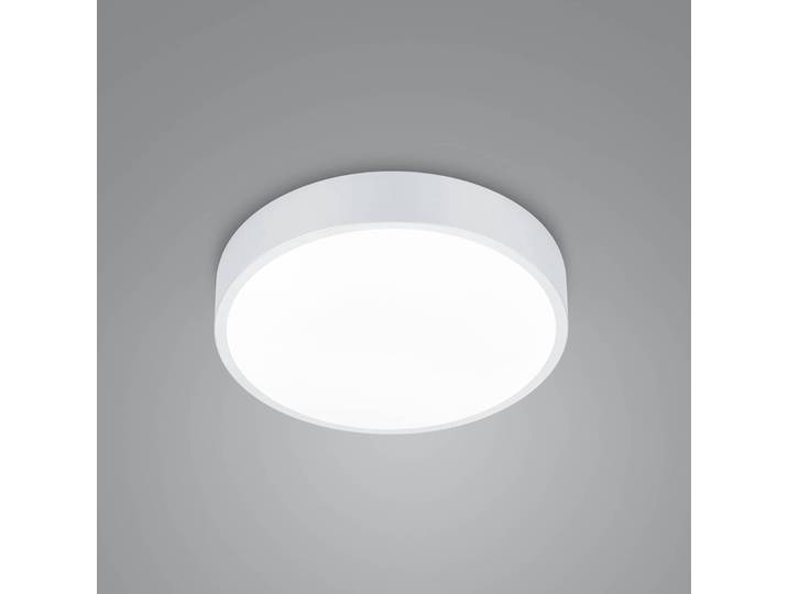 Trio Lighting LED Deckenleuchte Waco, dimmbar, weiß / opal, für Wohn- / Esszimmer, Metall