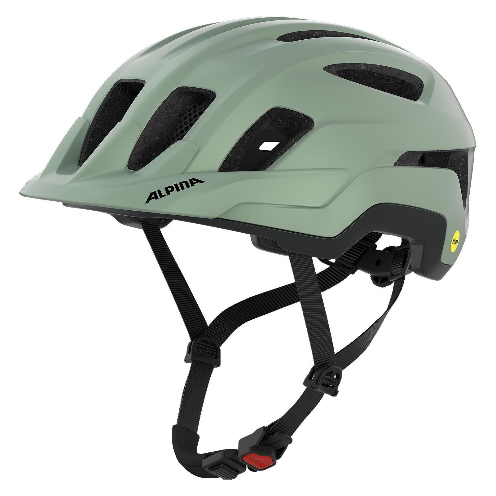 Alpina Paranus Mips (55 - 59 cm) (49738453)