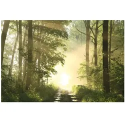 Paperflow, Bilder, Wandbild "Wald", aus Plexiglas (98 x 65 cm)